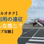 【アイドルオタク】飛行機利用の遠征ってどんな感じ?【ライブ攻略】
